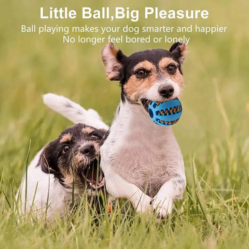 1pc Dog Ball Toys for Small Dogs Interactive Elasticity Puppy Chew Toy Tooth Cleaning Rubber Food Ball Toy Pet Stuff Accessories, Large Interactive Dog Ball, Dog Play Equipment, Vibrating Ball for Dogs, Pet Balls, Jolly Ball