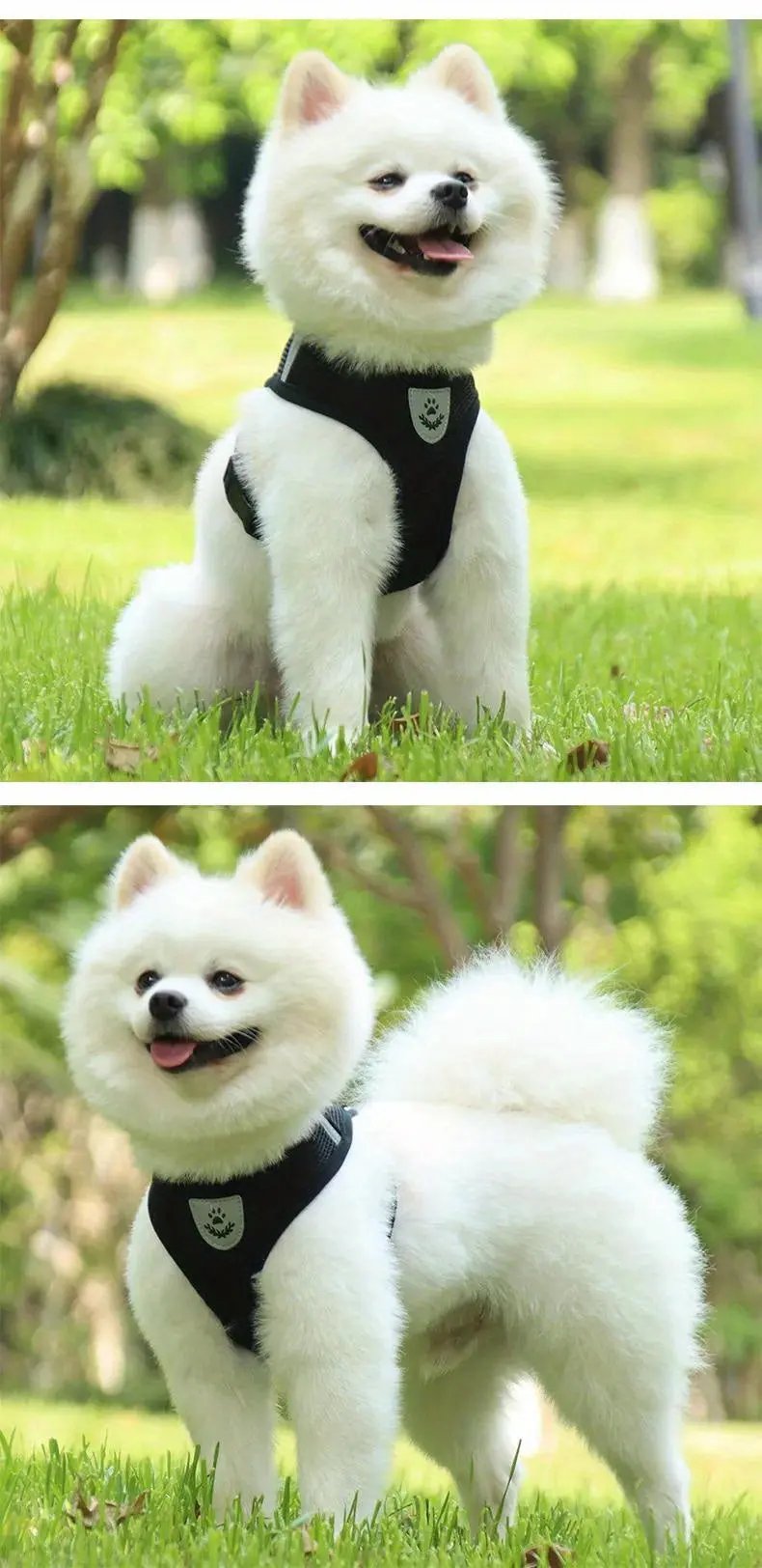 Dog Harnesses Leash, Mesh Cloth Pet Collars, Puppy Breathable Reflective Lead Dog Rope, Adjustable Pet Supplies Christmas Gift