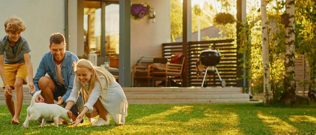 Pet Hair Remover - Lint Roller For Pet Hair - Cat And Dog Hair Remover For Couch, Furniture, Carpet, Car Seat, Reusable Roller W/Self-Cleaning Base - Upgraded Animal Fur Removal Tool PAW-SOME PETS