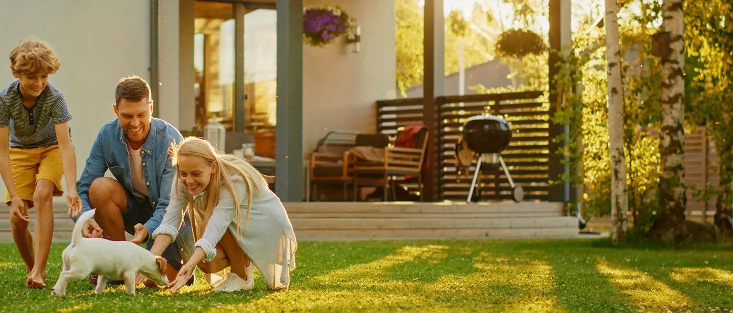 Pet Hair Remover - Lint Roller For Pet Hair - Cat And Dog Hair Remover For Couch, Furniture, Carpet, Car Seat, Reusable Roller W/Self-Cleaning Base - Upgraded Animal Fur Removal Tool PAW-SOME PETS