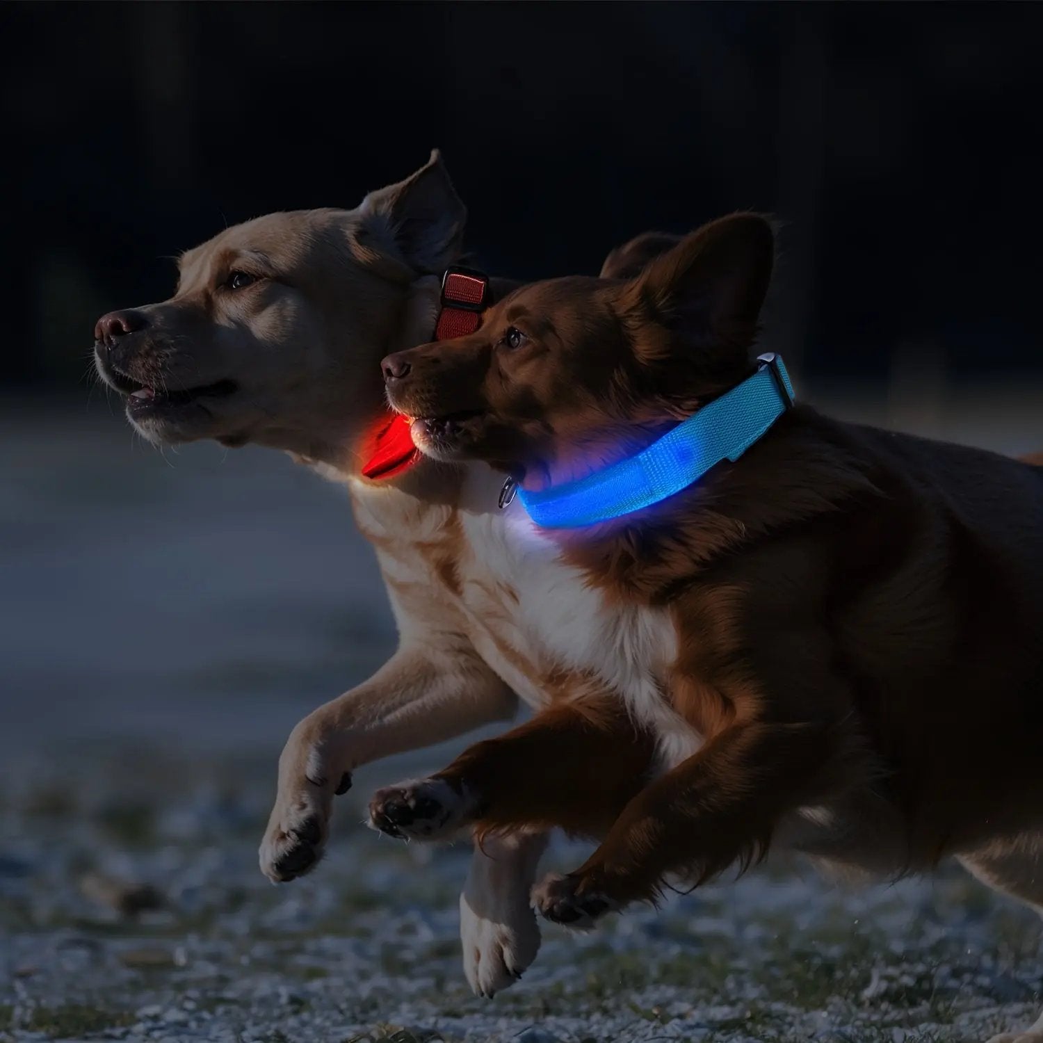 LED Webbing Collar, Suitable for Small to Medium Dogs - Keep Your Pet Safe and Visible During Nighttime Walks