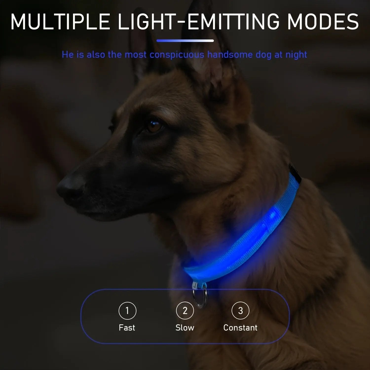 LED Webbing Collar, Suitable for Small to Medium Dogs - Keep Your Pet Safe and Visible During Nighttime Walks