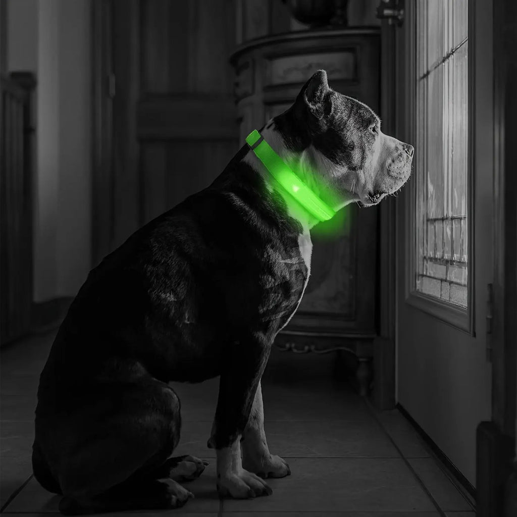 LED Webbing Collar, Suitable for Small to Medium Dogs - Keep Your Pet Safe and Visible During Nighttime Walks