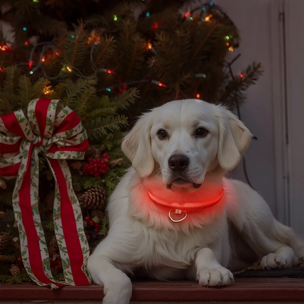 LED Webbing Collar, Suitable for Small to Medium Dogs - Keep Your Pet Safe and Visible During Nighttime Walks