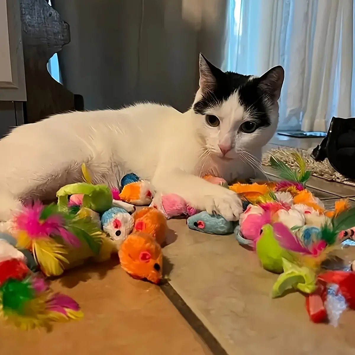 200pcs/64pcs/32pcs/16pcs Mixed Cat Toy Set - Assorted Plastic Toys for Multiple Cats, Random Colors & Styles, Keeps Playtime Fun Every Day (Plastic/Polyester/Artificial feathers)