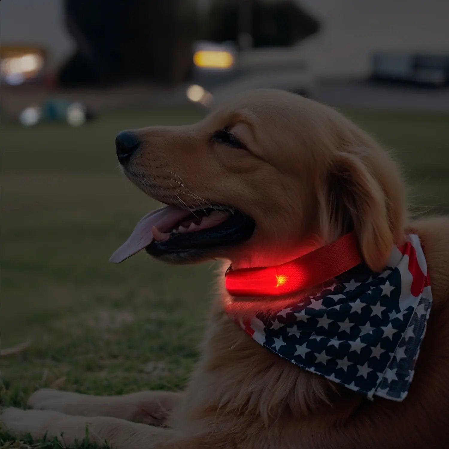 LED Webbing Collar, Suitable for Small to Medium Dogs - Keep Your Pet Safe and Visible During Nighttime Walks