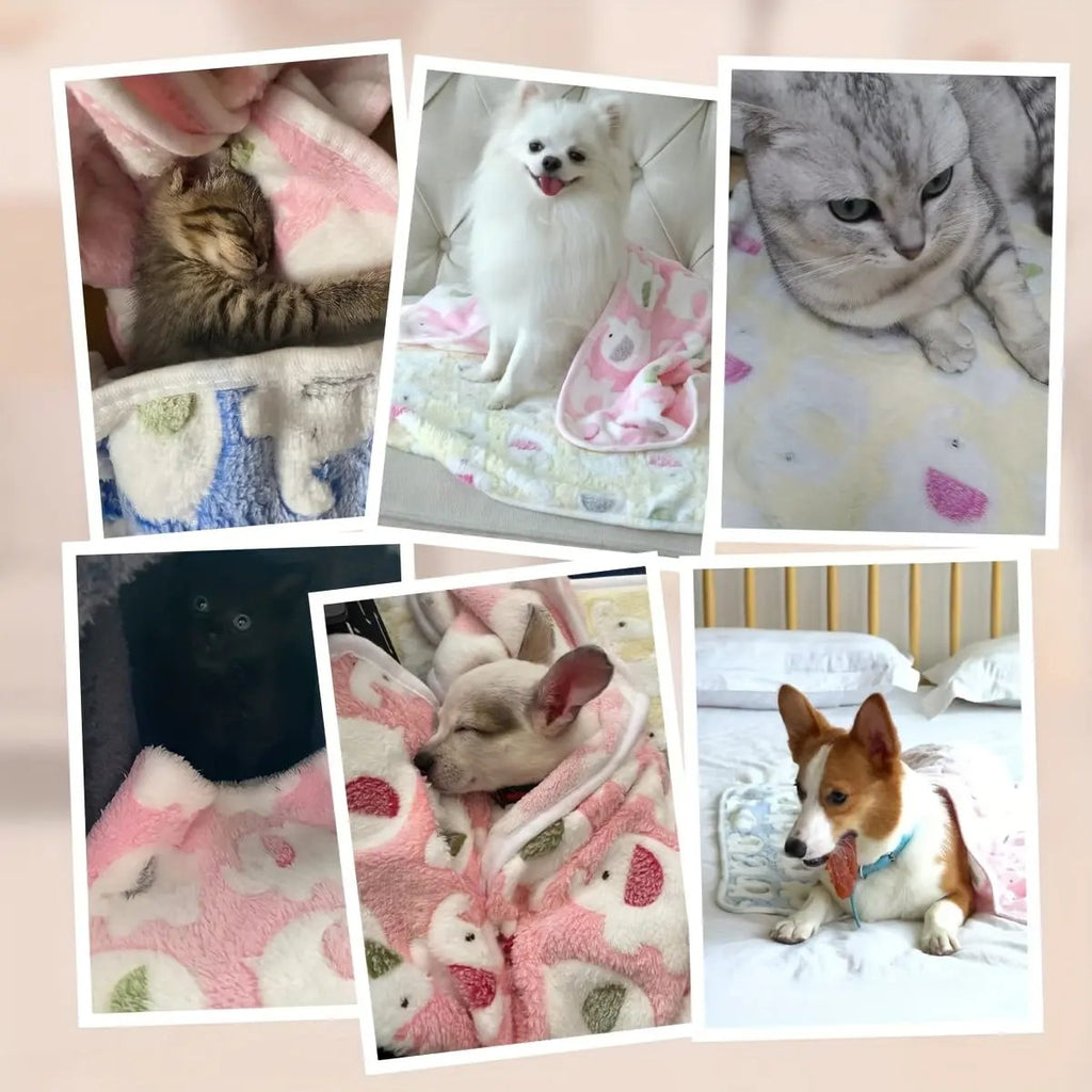 1/3 Pack - Elephant Fleece Blanket, Washable Pet Bedding for Cats & Small Dogs - Affordable Indoor Use, Essential Supplies, Sofa Throw, Dog Stroller Accessory, Suitable For Large Medium Small Breeds - Ideal For Couch Crate Be