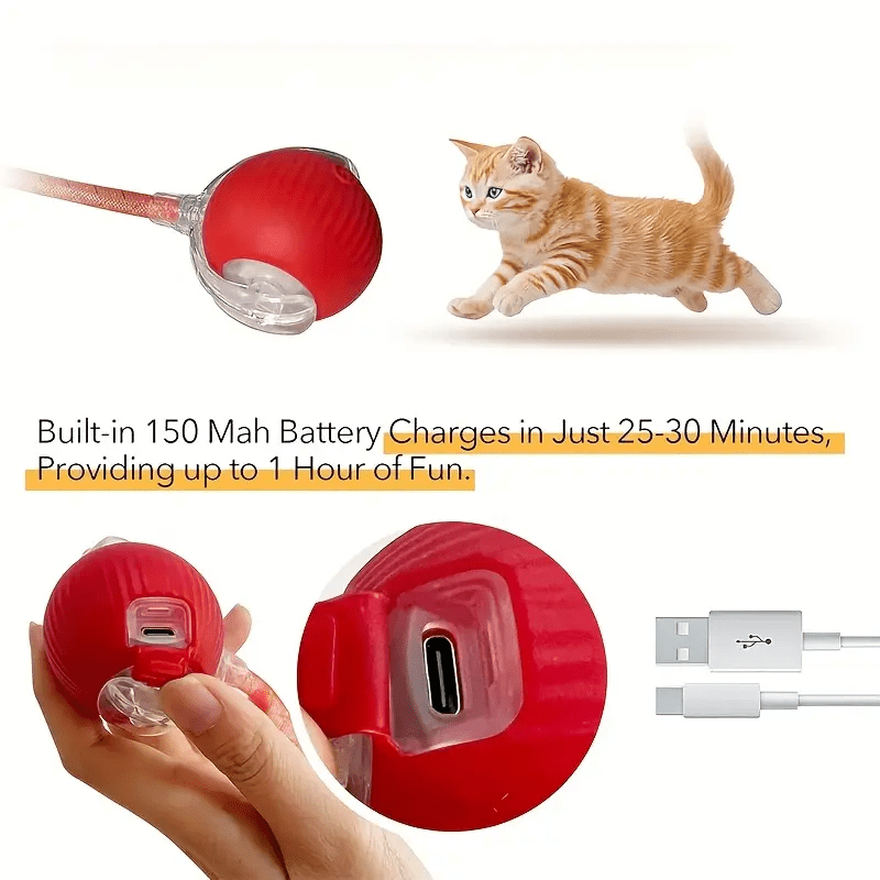 Smart Interactive Cat & Dog Toy Ball with USB Rechargeable Battery, Automatic Rolling Interactive Ball with Elastic Net Tail, Interactive Cat & Dog Toy for Siamese Cats - PAW-SOME PETS