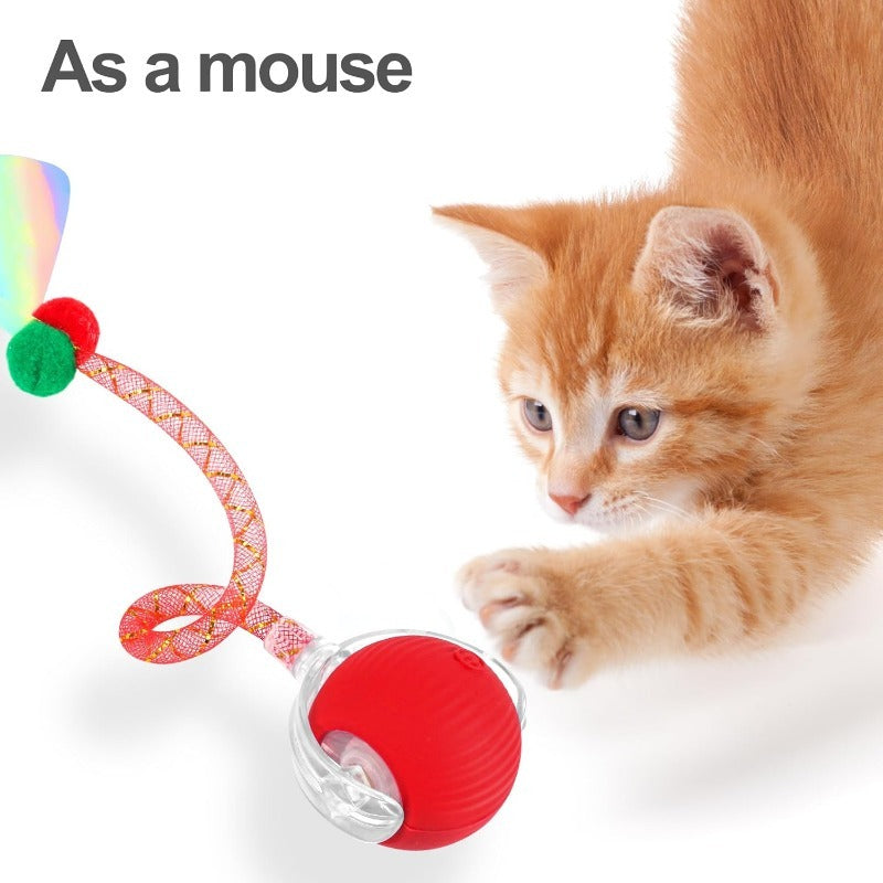 Smart Interactive Cat & Dog Toy Ball with USB Rechargeable Battery, Automatic Rolling Interactive Ball with Elastic Net Tail, Interactive Cat & Dog Toy for Siamese Cats - PAW-SOME PETS