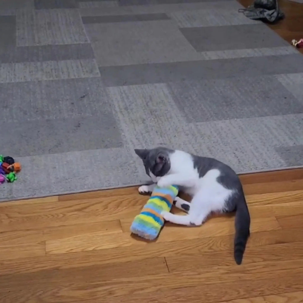 Interactive Cat Toy Set: Plush Pillow, Cat Chew Toy, Squeak Toy - Perfect For Indoor Kitten Playtime!