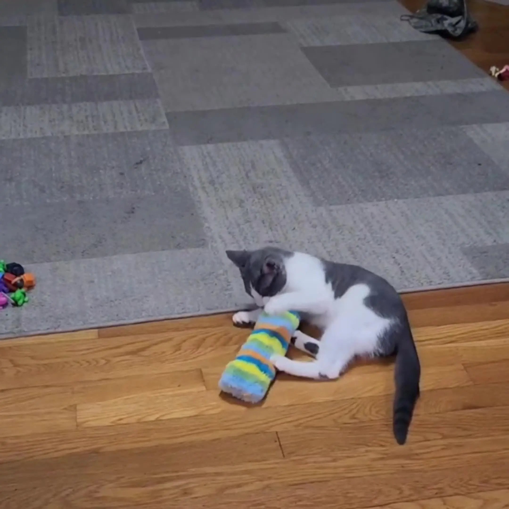 Interactive Cat Toy Set: Plush Pillow, Cat Chew Toy, Squeak Toy - Perfect For Indoor Kitten Playtime!