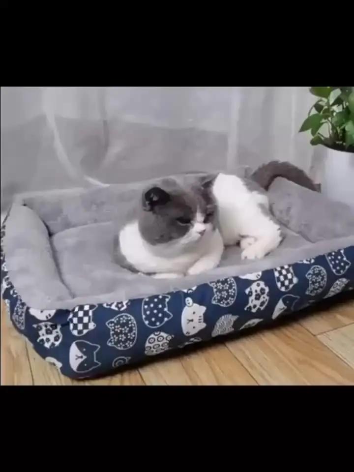 Ultra-Soft Pet Bed - Blue Paw Print Design, Durable Indoor Sofa Cushion, Easy-Clean Material, Comfortable and Cozy for Cats and Dogs, Available in 4 Sizes, Pet Bed for Dogs, Playful Design, Polypropylene Fiber Filling, Rectan