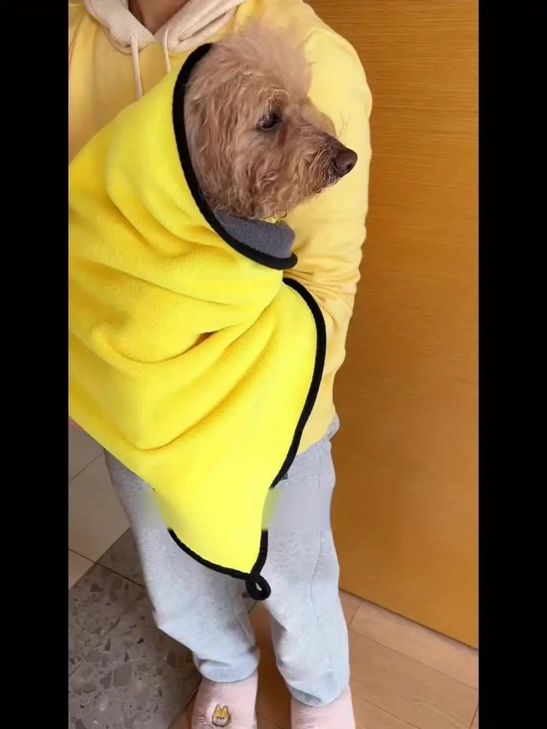 Pet Towels for Dogs & Cats - Super Soft Absorbent Microfiber, Quick-Dry & Lightweight, Gentle on Pet Coat, Machine Washable, Ideal for Bathing, Grooming, Rainy Days - Durable & Soft Towel For Dogs And Cats, Dog Towel, Groomin