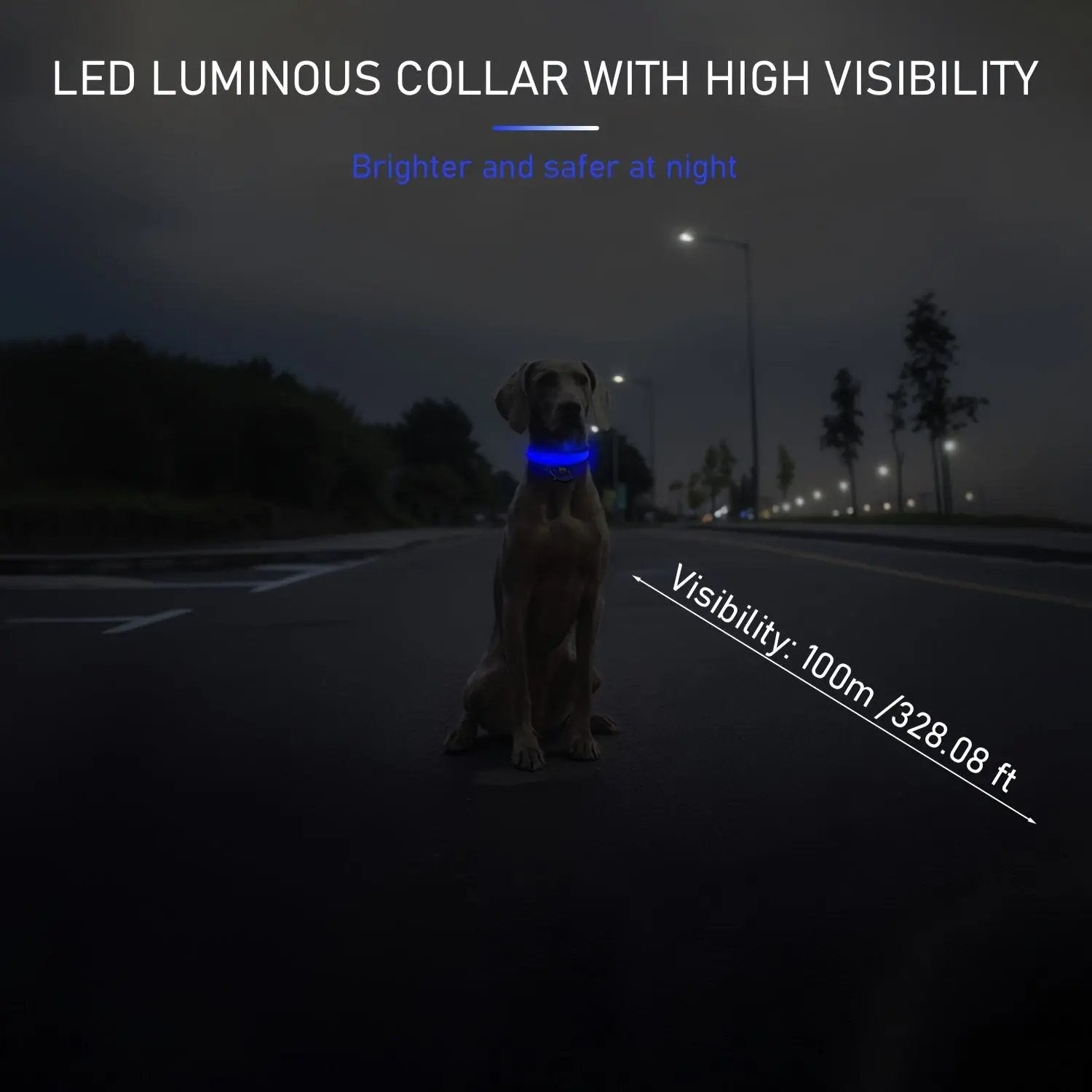 LED Webbing Collar, Suitable for Small to Medium Dogs - Keep Your Pet Safe and Visible During Nighttime Walks
