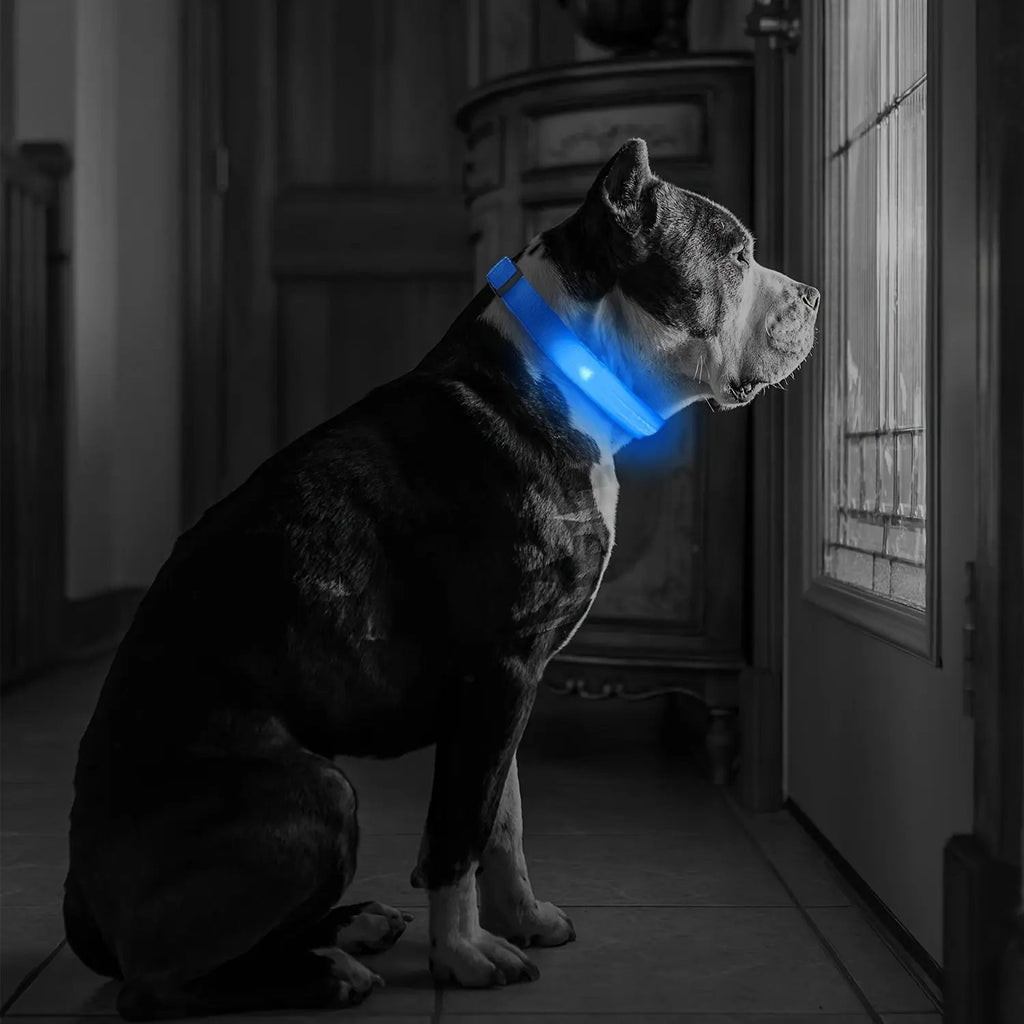 LED Webbing Collar, Suitable for Small to Medium Dogs - Keep Your Pet Safe and Visible During Nighttime Walks