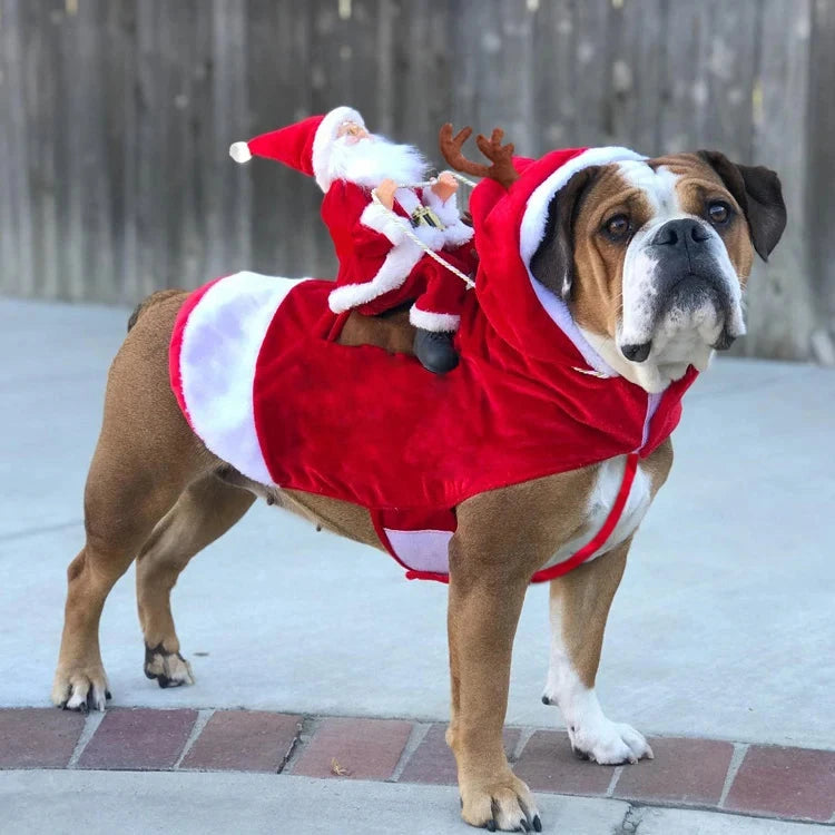 Dog Costume Santa Funny Christmas Dog Clothes Soft Velvet Adjustable Pet Riding Dress Up Suit for Small Big Dog Holiday Clothing PAW-SOME PETS