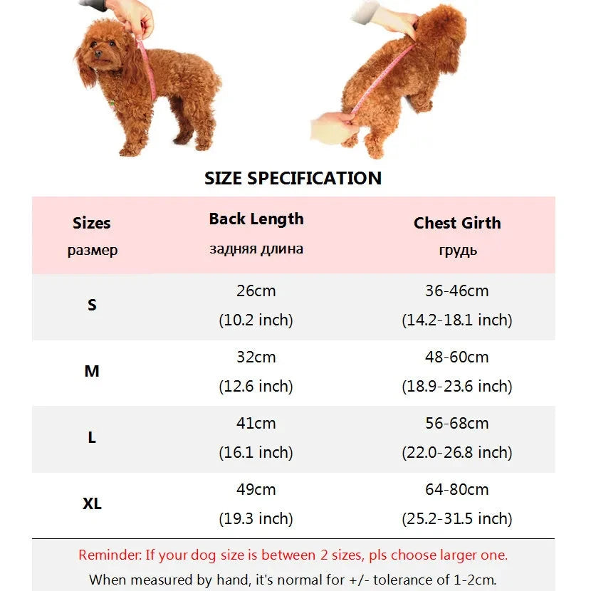 Dog Costume Santa Funny Christmas Dog Clothes Soft Velvet Adjustable Pet Riding Dress Up Suit for Small Big Dog Holiday Clothing PAW-SOME PETS