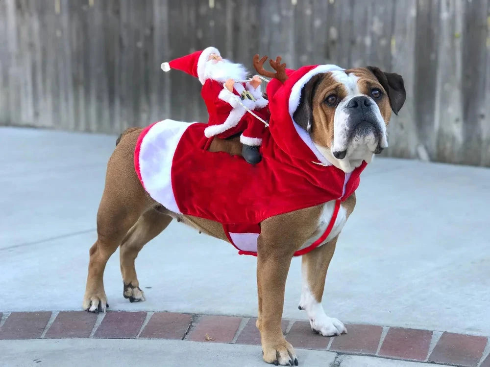 Dog Costume Santa Funny Christmas Dog Clothes Soft Velvet Adjustable Pet Riding Dress Up Suit for Small Big Dog Holiday Clothing PAW-SOME PETS