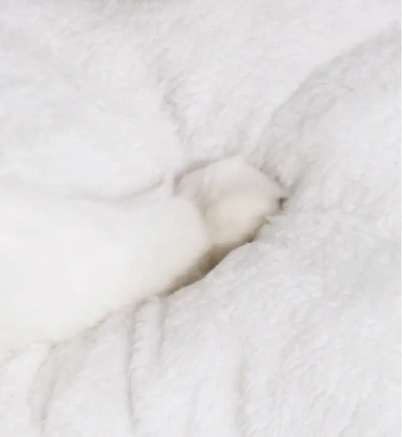 New Cute Mongolian Yurt Pet Nest Home Pet Supplies Semi Closed Panda Nest Fun Cat Playful Autumn and Winter Warm Dog Nest PAWN-SOME PETS