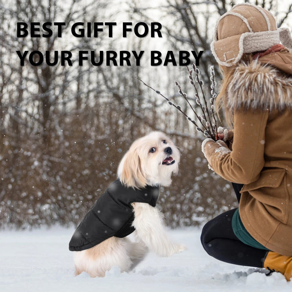 Dog Cold-weather Coat Winter Pet Dog Coat Pet Dog Jacket With Zipper For Small Large Dogs Cats Windproof PAW-SOME PETS