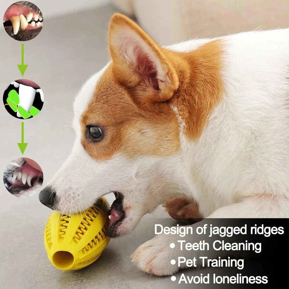 Pet Dog Chew Toys Teeth Cleaning Snack Ball Pet Dog Toy Ball Natural Rubber Super Tough Interactive Bouncy Pet Supplies PAWN-SOME PETS