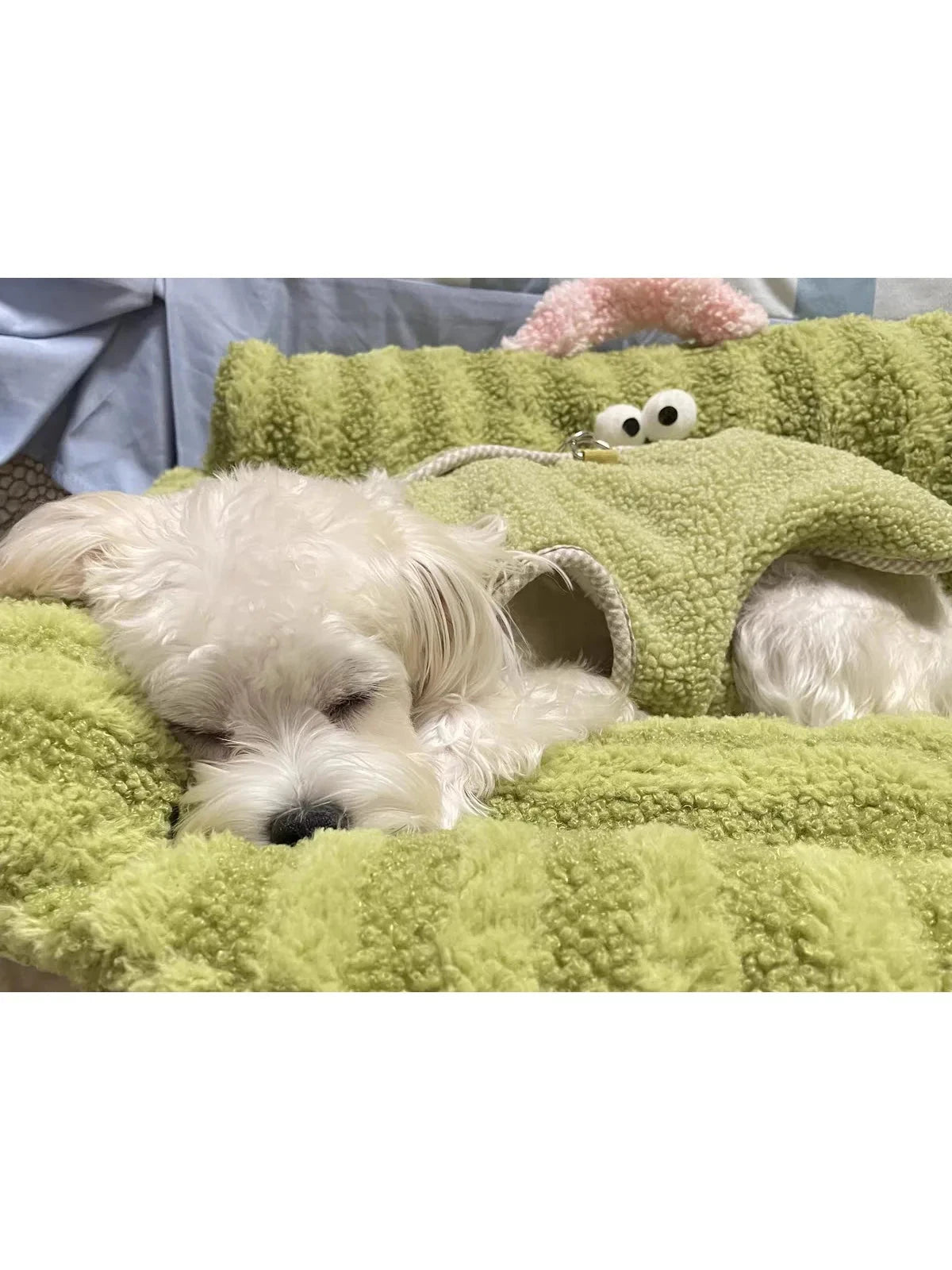Puppy special sofa kennel winter warm pet Internet celebrity cat nest small dog dog sleeping mat cushion winter bed PAWN-SOME PETS