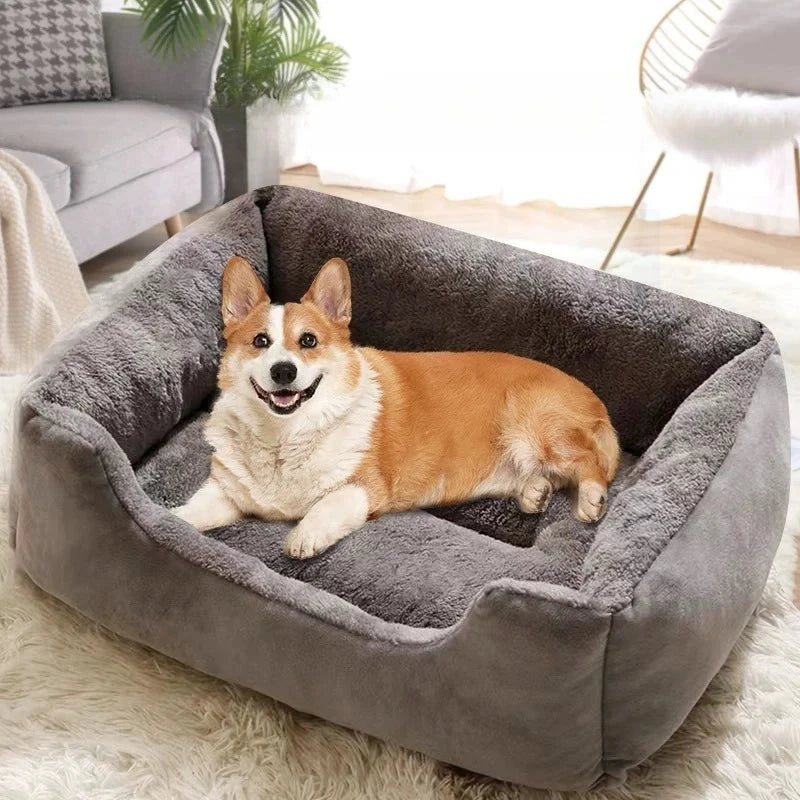 Bed for Cats Cushions Kitten Goods Accessories Dog All Houses Supplies Things Accessory Habitats Basket House Beds Cat Products PAWN-SOME PETS