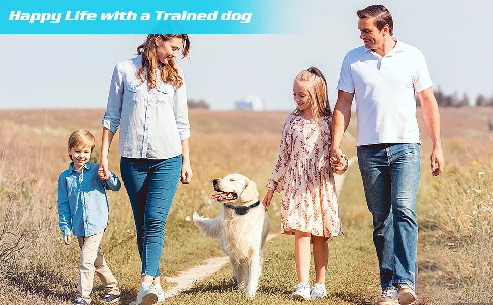 800m Digital Dog Training Collar Waterproof Rechargeable Remote Control Pet with LCD Display for All Size Shock Vibration Sound PAWN-SOME PETS