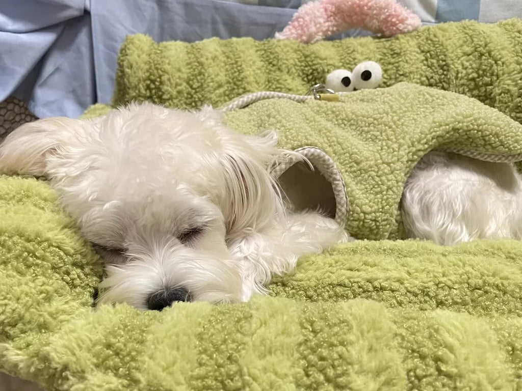 Puppy special sofa kennel winter warm pet Internet celebrity cat nest small dog dog sleeping mat cushion winter bed PAWN-SOME PETS