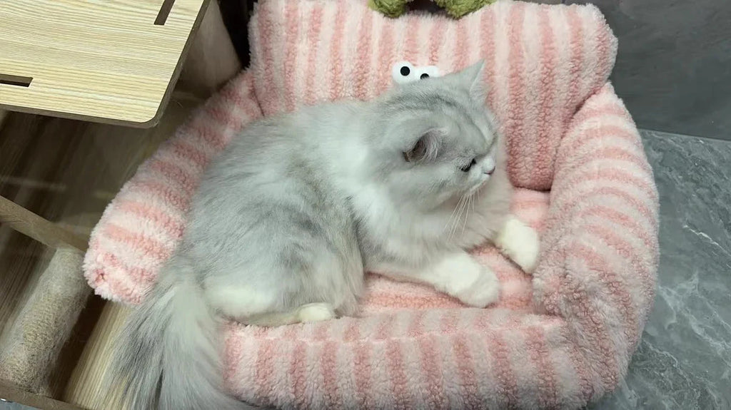 Puppy special sofa kennel winter warm pet Internet celebrity cat nest small dog dog sleeping mat cushion winter bed PAWN-SOME PETS