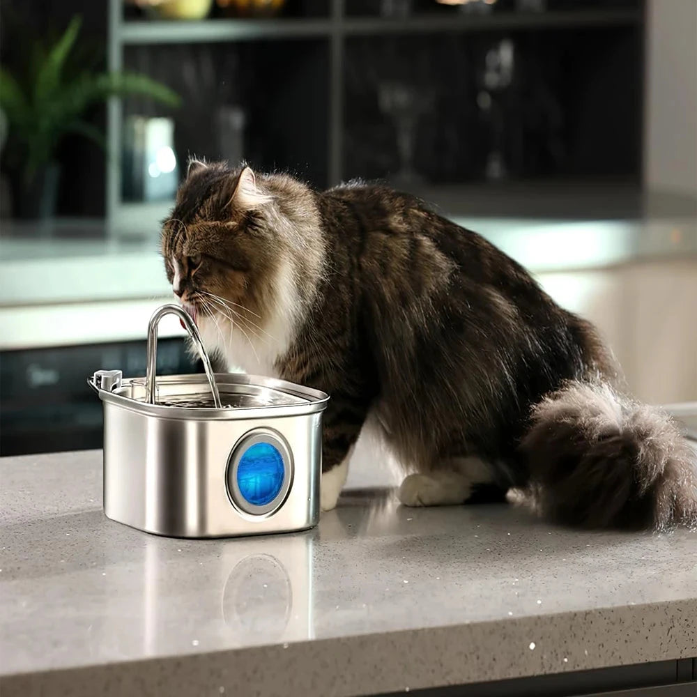 3.2L Stainless Steel Pet Water Feeder Auto Cat Fountain Smart Dog Water Dispenser Visual Window Drinking Bowl Pet Accessories PAW-SOME PETS