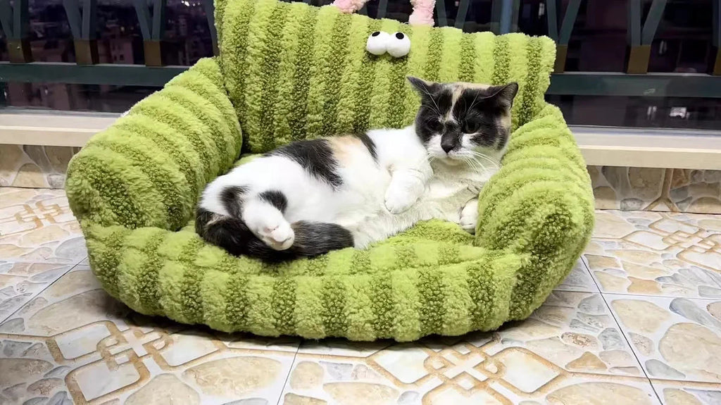 Puppy special sofa kennel winter warm pet Internet celebrity cat nest small dog dog sleeping mat cushion winter bed PAWN-SOME PETS