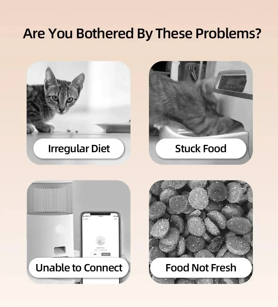 2 Meals Timed Automatic Dog Feeder Dual Bowls Smart Cat Food Dispenser Wet Dry Pet Food Dispenser Pet Feeder Cat Accessories PAW-SOME PETS