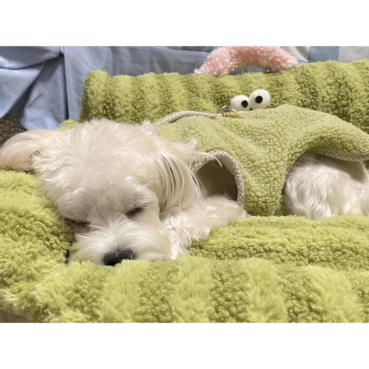 Puppy special sofa kennel winter warm pet Internet celebrity cat nest small dog dog sleeping mat cushion winter bed PAWN-SOME PETS