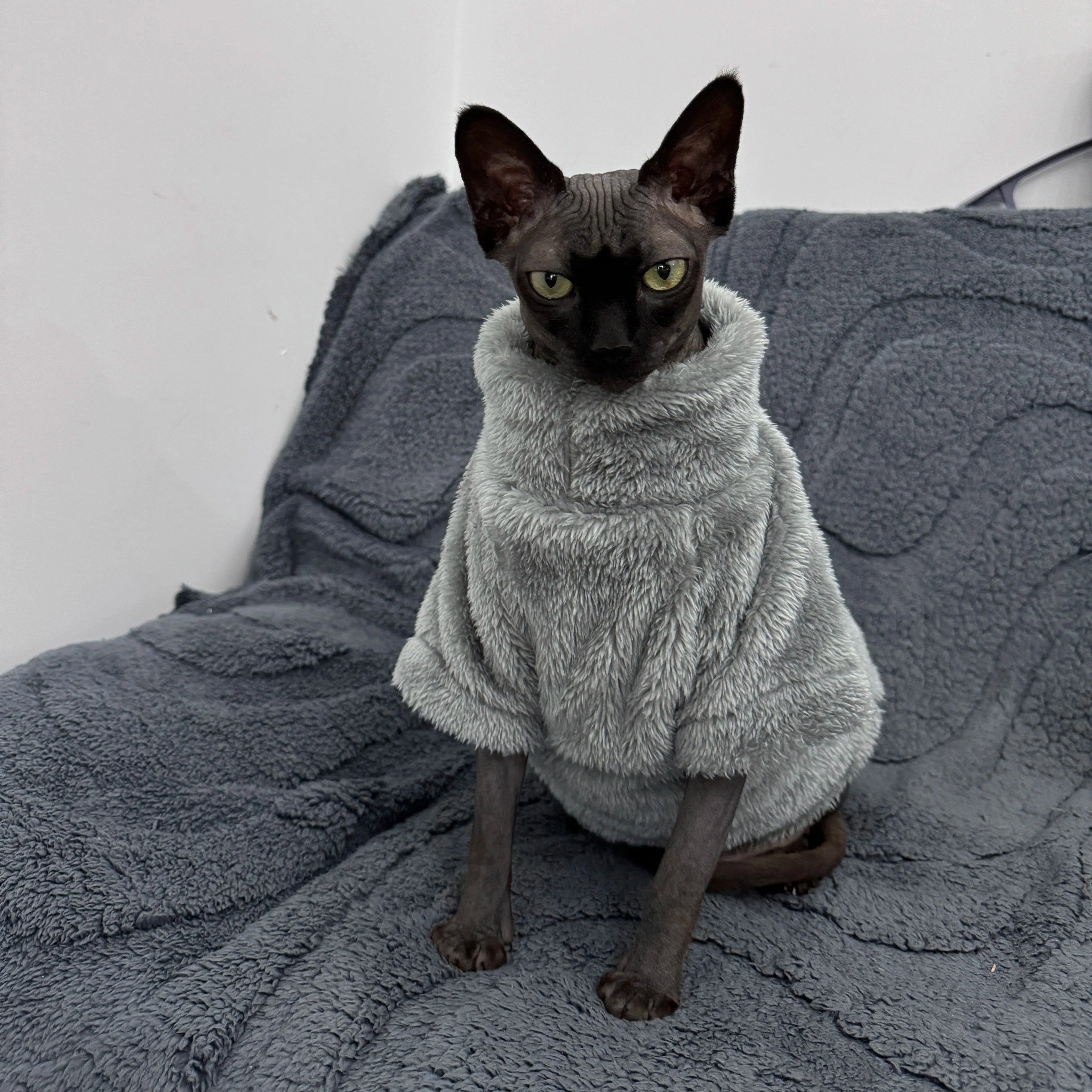 Pet Cat Sweater Home Fur Autumn and Winter Warm Solid Color Soft Arctic Velvet Skincare Suitable for Devonshire Cats, Hairless C PAWN-SOME PETS