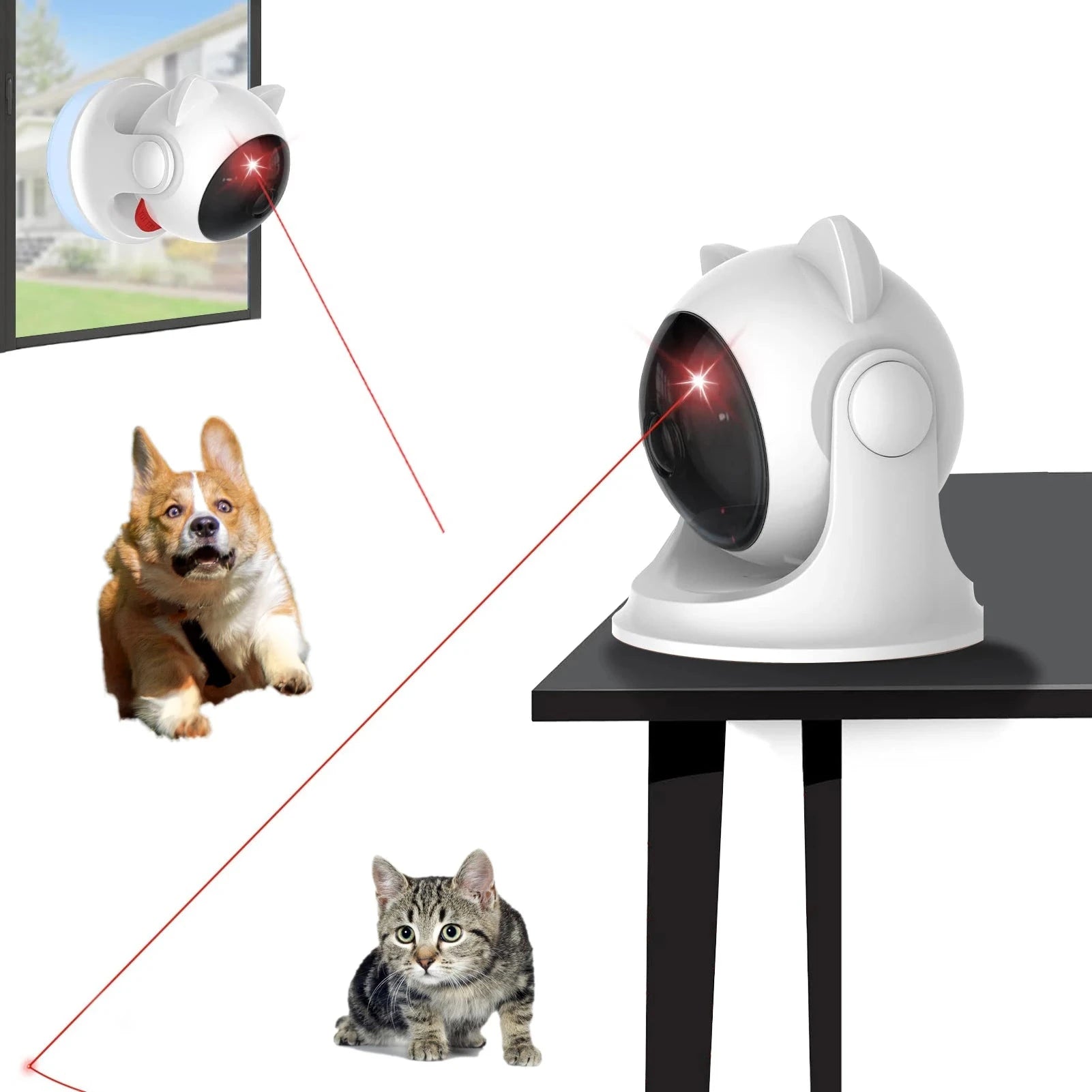 Cat Laser Toy Automatic Rechargeable Motion Random Activated Interactive Cat Toys for Indoor Cats/Dog/Kittne Slow and Fast Mode PAWN-SOME PETS