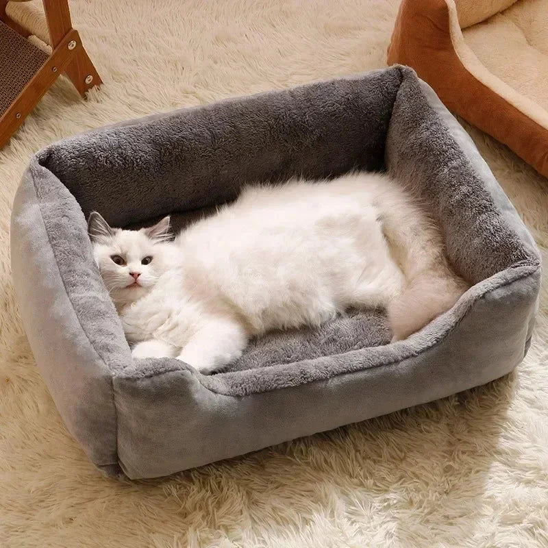Bed for Cats Cushions Kitten Goods Accessories Dog All Houses Supplies Things Accessory Habitats Basket House Beds Cat Products PAWN-SOME PETS