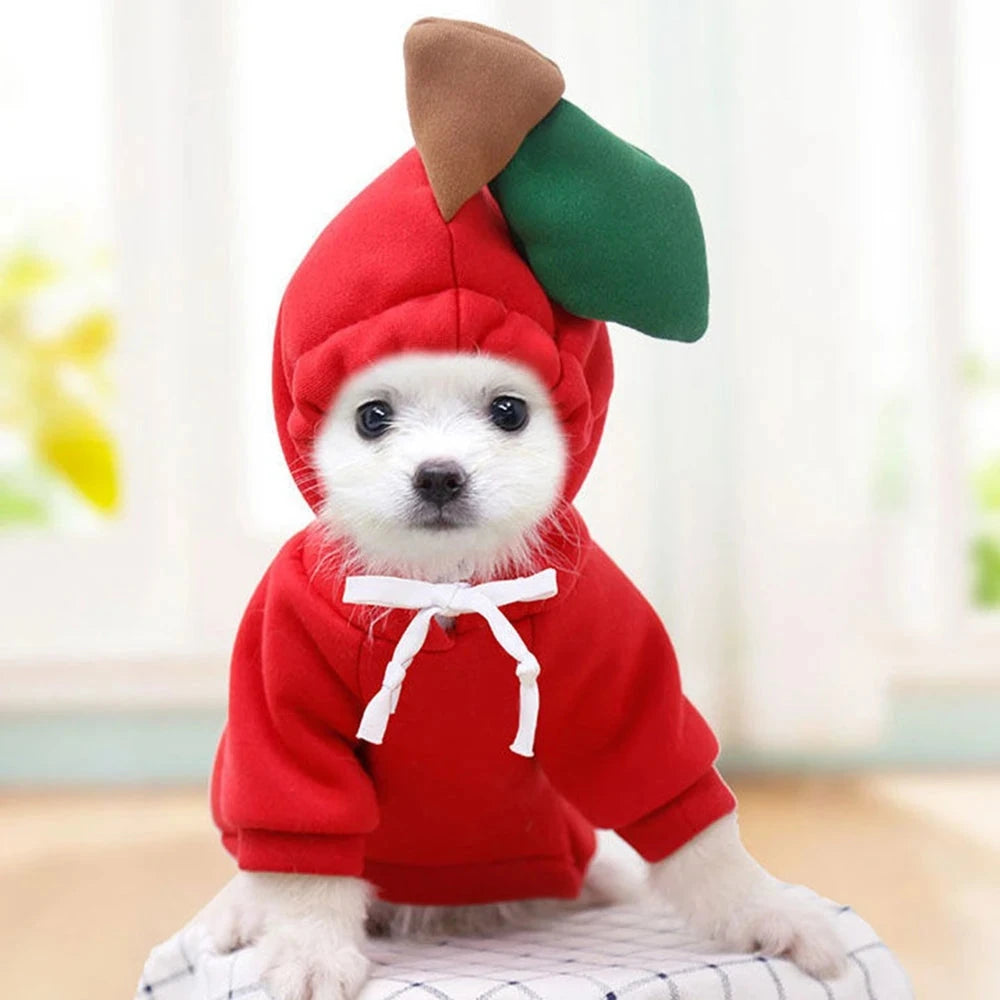 Cute Fruit Dog Clothes for Small Dogs Hoodies Warm Fleece Pet Clothing Puppy Cat Christmas Costume Coat Chihuahua Jacket Suits PAWN-SOME PETS