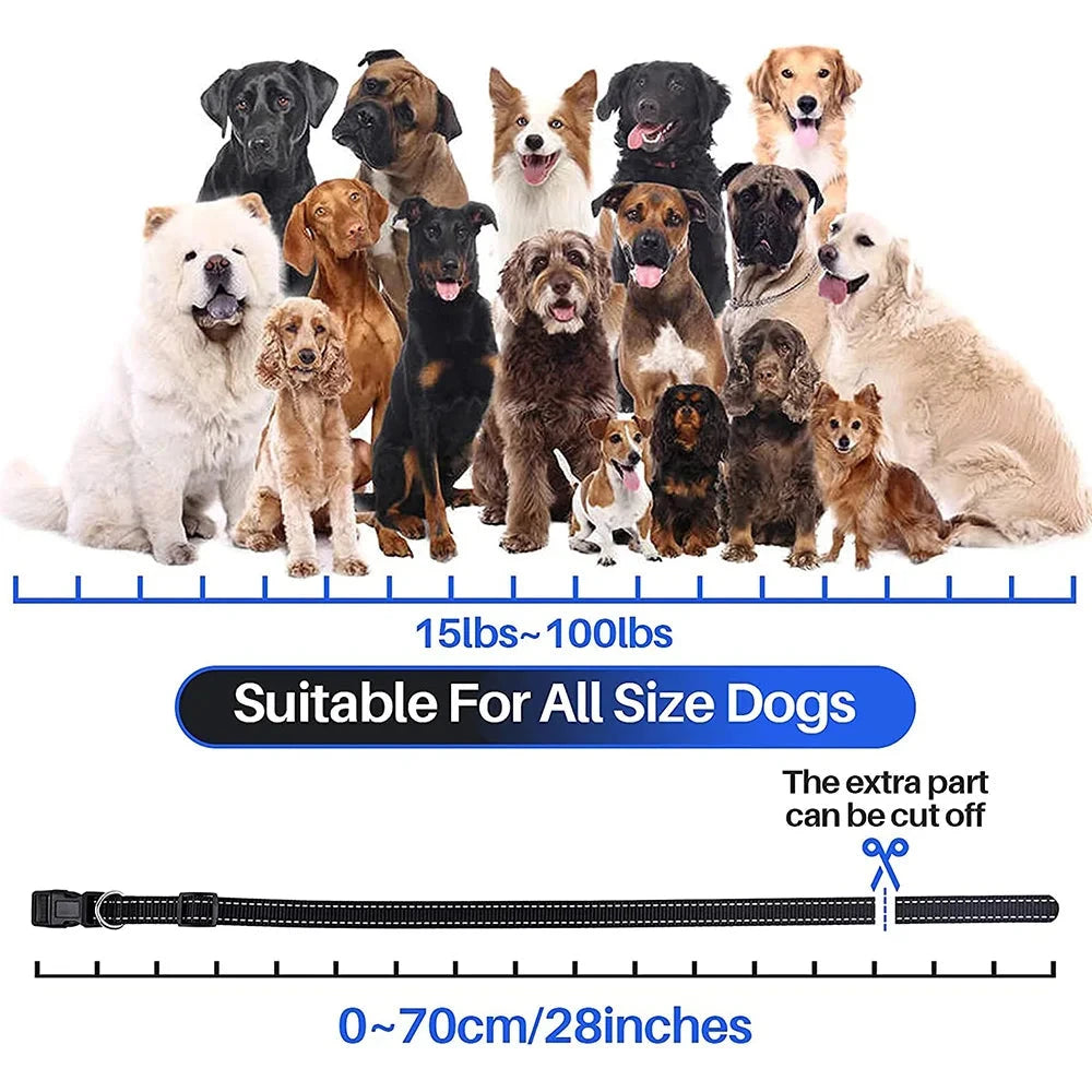 800m Digital Dog Training Collar Waterproof Rechargeable Remote Control Pet with LCD Display for All Size Shock Vibration Sound PAWN-SOME PETS