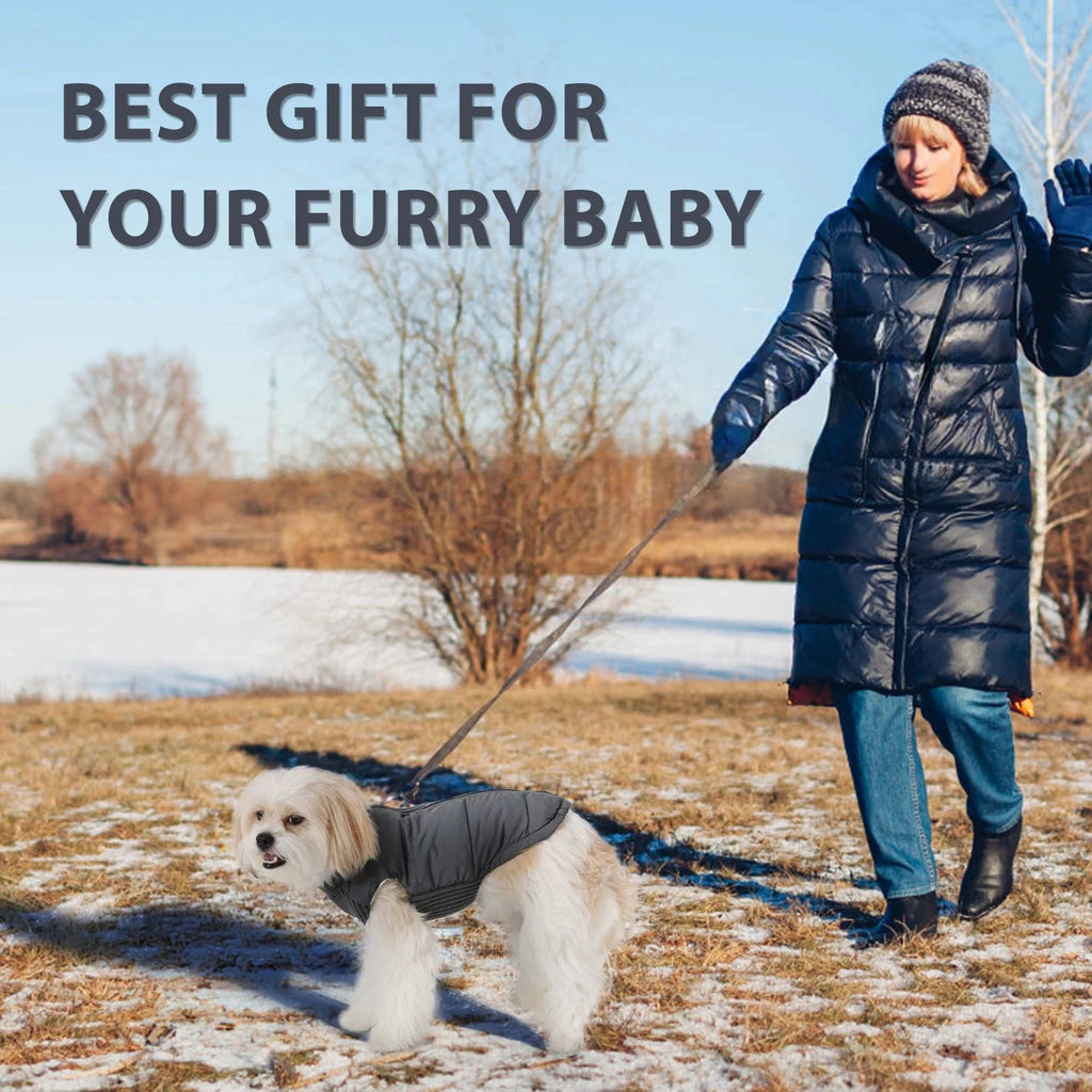 Dog Cold-weather Coat Winter Pet Dog Coat Pet Dog Jacket With Zipper For Small Large Dogs Cats Windproof PAW-SOME PETS