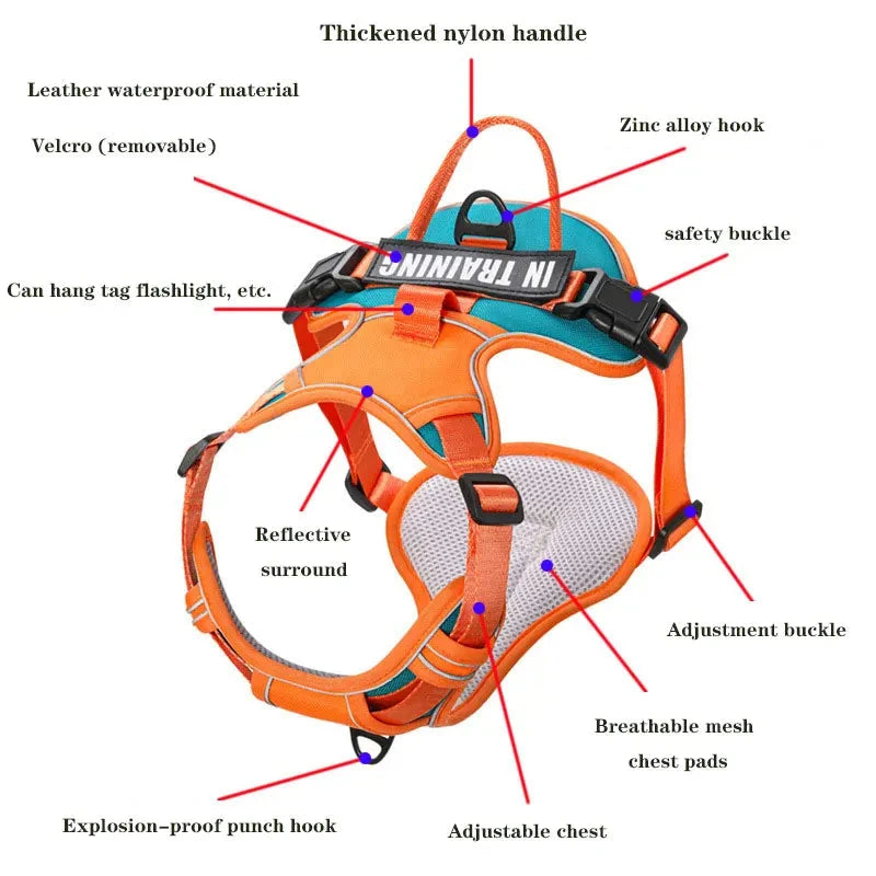 Nylon Adjustable Dog Harness Personalized Dog Harness Vest Reflective Breathable Pet Carrier Leash for Medium and Large Dogs PAW-SOME PETS