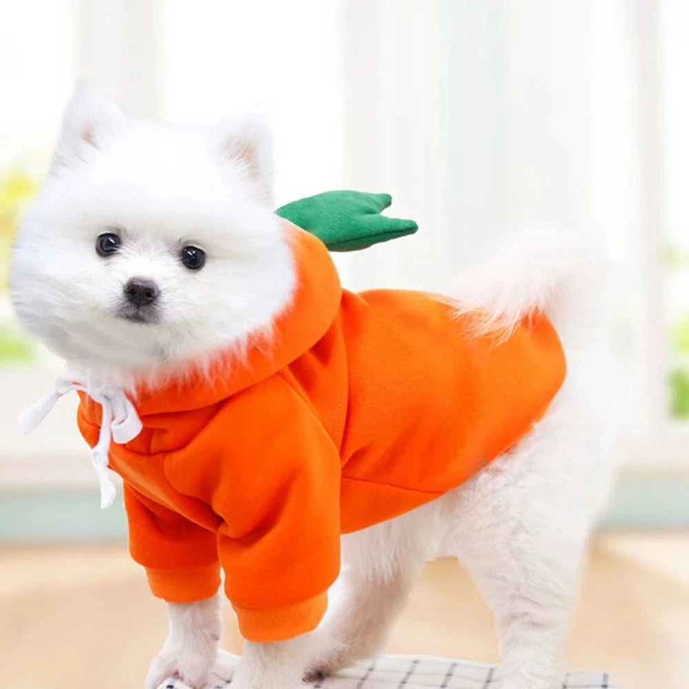 Cute Fruit Dog Clothes for Small Dogs Hoodies Warm Fleece Pet Clothing Puppy Cat Christmas Costume Coat Chihuahua Jacket Suits PAWN-SOME PETS