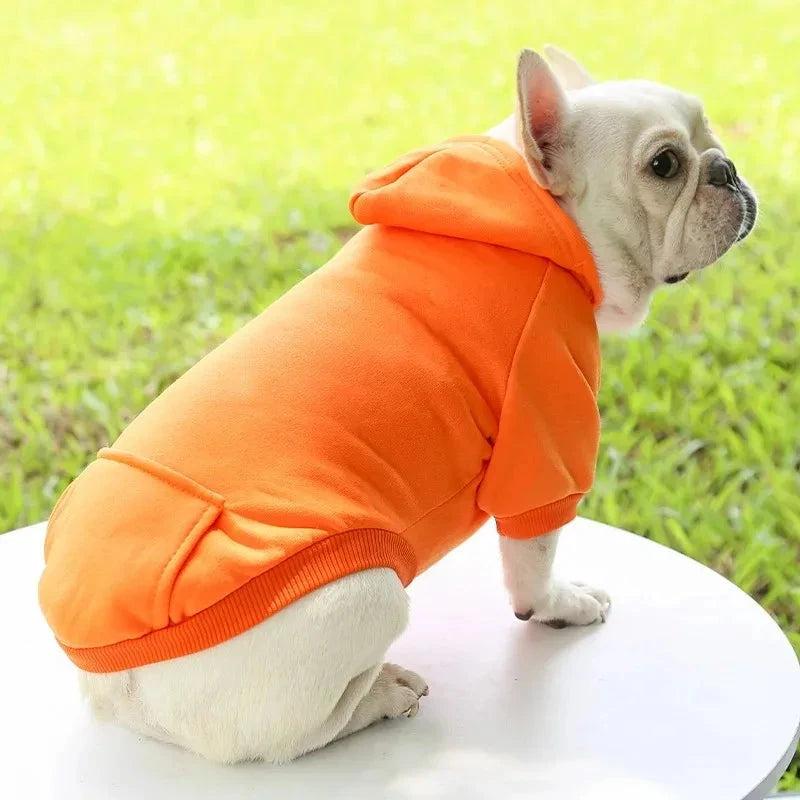 Autumn Winter Pet Cat Cotton Hooded Sweatshirts for Small Dogs Cats Clothes Warm Coat Puppy Hooded Sweats PAWN-SOME PETS