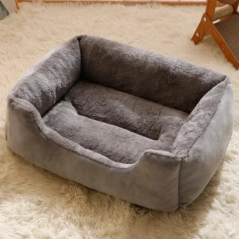 Bed for Cats Cushions Kitten Goods Accessories Dog All Houses Supplies Things Accessory Habitats Basket House Beds Cat Products PAWN-SOME PETS