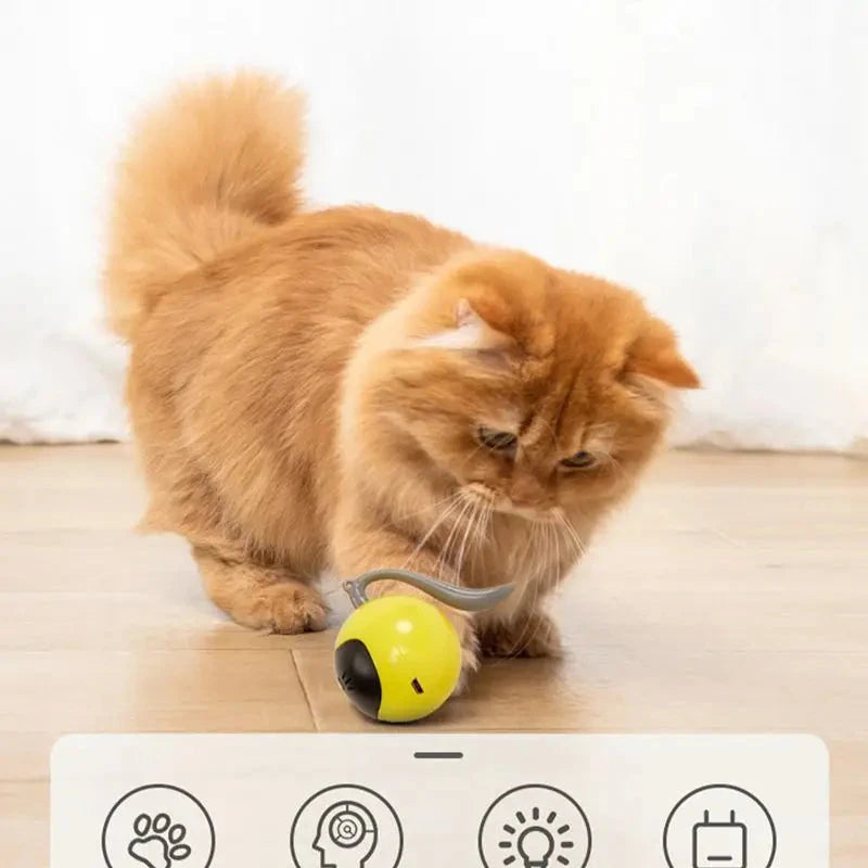 Smart Interactive Cat Toy Colorful LED Self Rotating Pet Ball Toys USB Rechargeable Kitten Automatic Ball Toys Cat Accessories PAWN-SOME PETS