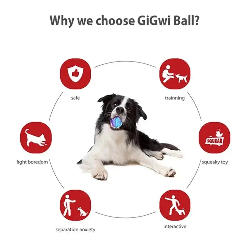 Gigwi Pet Toys Interactive Dog Ball G-Ball Series Squeaky Balls for Small/Medium Dogs PAWN-SOME PETS