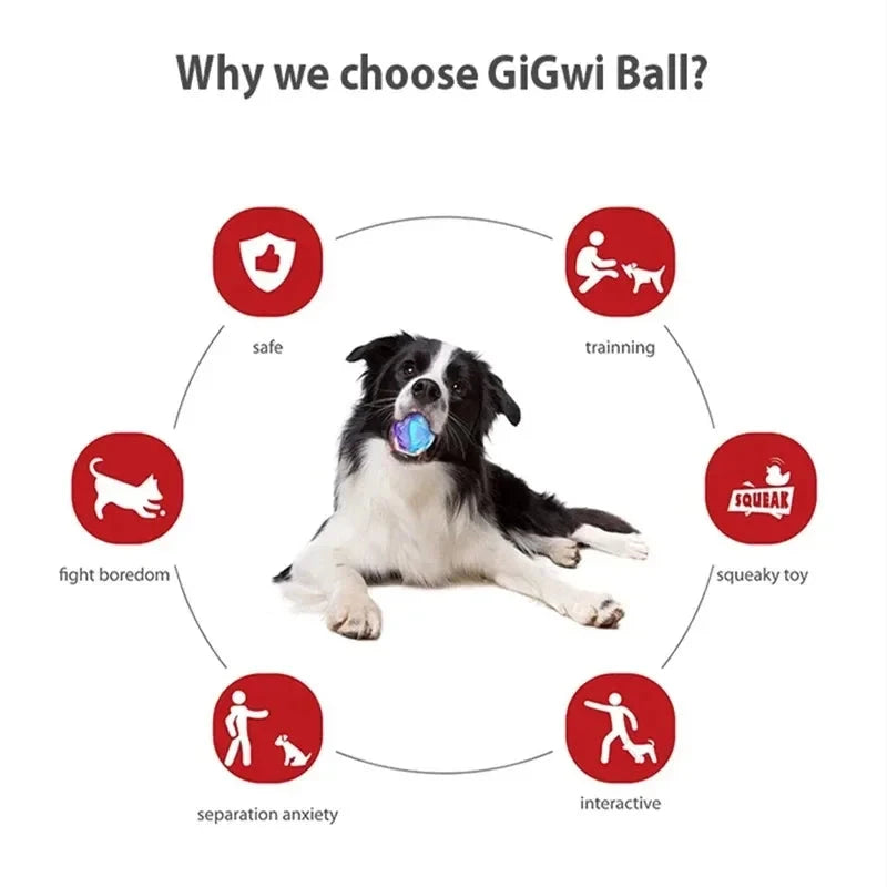Gigwi Pet Toys Interactive Dog Ball G-Ball Series Squeaky Balls Dog Toys 2.5” for Small/Medium Dogs Bouncy And Assorted Colors PAWN-SOME PETS