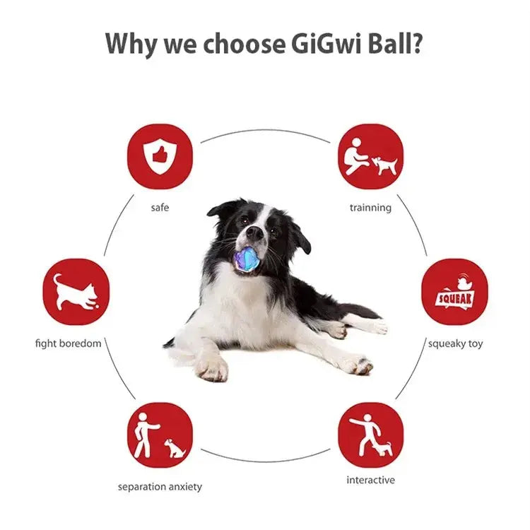 Gigwi Pet Toys Interactive Dog Ball G-Ball Series Squeaky Balls for Small/Medium Dogs PAWN-SOME PETS