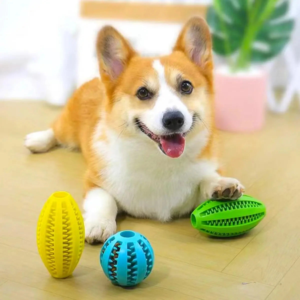 Pet Dog Chew Toys Teeth Cleaning Snack Ball Pet Dog Toy Ball Natural Rubber Super Tough Interactive Bouncy Pet Supplies PAWN-SOME PETS