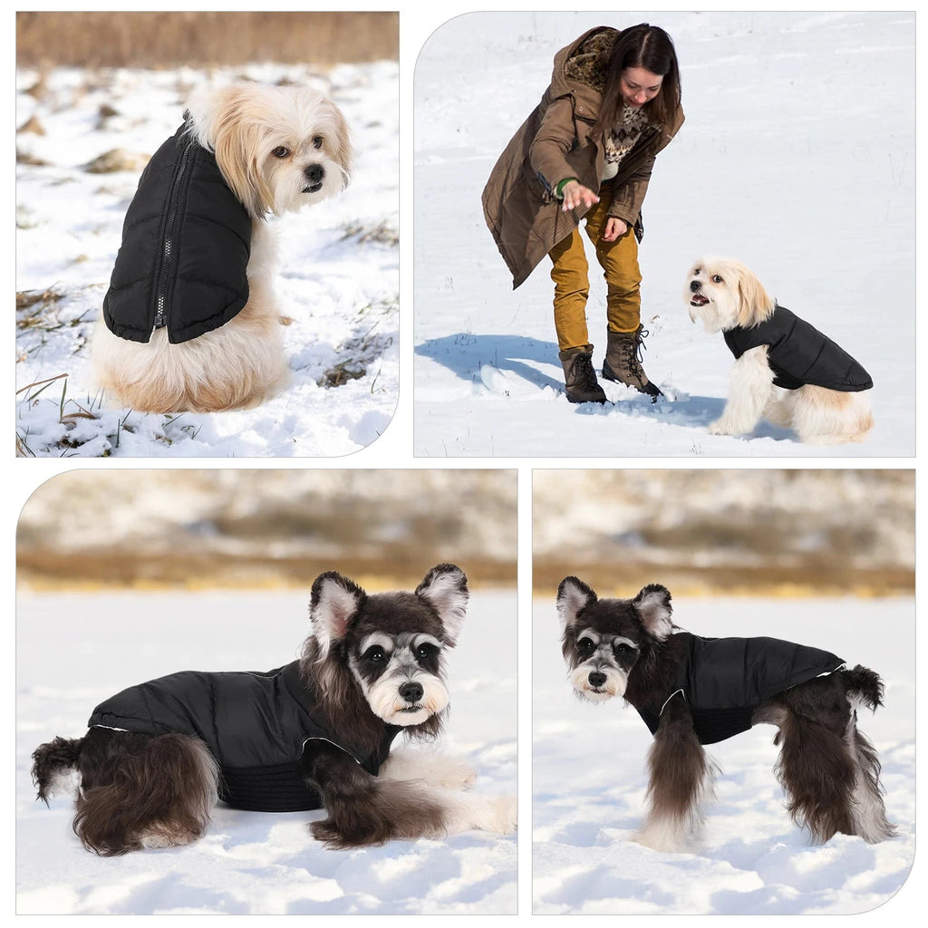Dog Cold-weather Coat Winter Pet Dog Coat Pet Dog Jacket With Zipper For Small Large Dogs Cats Windproof PAW-SOME PETS